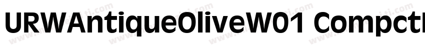 URWAntiqueOliveW01 CompctIt Regular字体转换